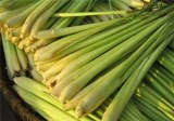Frozen Lemon grass