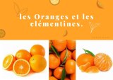 ORANGE ET CLEMENTINES