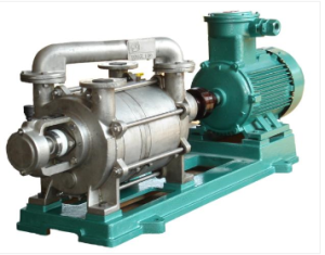 Liquid ring vacuum pump and roots vacuum pump system