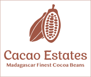 Vente de fèves de cacao supérieures en provenance de Madagascar