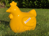 Vente de poules et oeufs frais