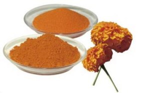 Water Soluble Lutein