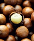 Walnut, Blanched Walnut/Walnut Halves / Unblanched Walnut, Grade AA Nuts