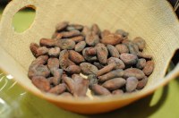 CACAO-AVEC CERTIFICAT BIO