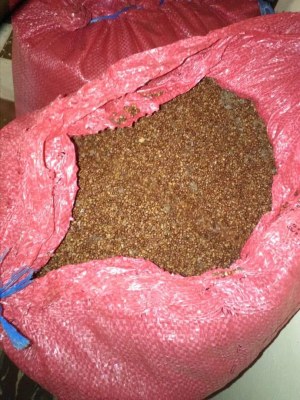 VENTE POIVRE MANIGUETTES, NOIX DE CAJOU, NOIX DE COCOS, MANGUES