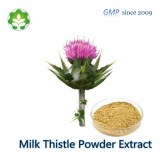 Mary thistle powder extract p.e in bulk