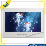 19'' IP66 Waterproof Mirror Built-in Shower TV