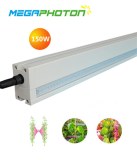 Megaphoton a la lumière de interlighting contre 8 pi de serre poussent les projets d'éclairage