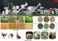 Use The Feed Processing Machinery Made Feed Into Pellets