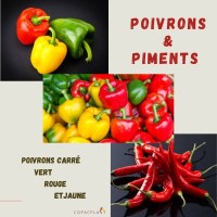Poivrons & piments