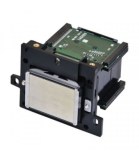 Mutoh VJ-1618 Printhead-DG-41914 (ASOKA PRINTING)