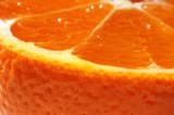 Valencia Orange