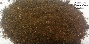 Pastel de Neem De Oiled (Pastel de Neem)