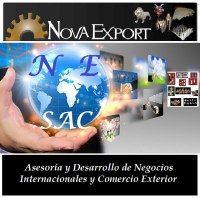 Conseils et développement intégral du commerce extérieur: exportations et importations