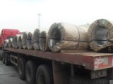 Antifinger GL steel coil