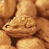 Vente de Noix brut et décortiquée