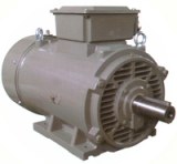 ODP Motor