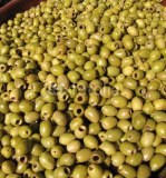 OLIVES,VARIANTE TOUT FORMA