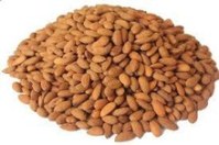 Organic sweet almond nuts with best quality
