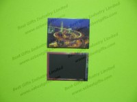 Photo magnet