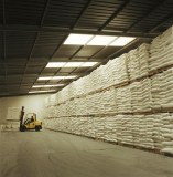 Sugar cane icumsa 45/origin Brazil (photo don't original)