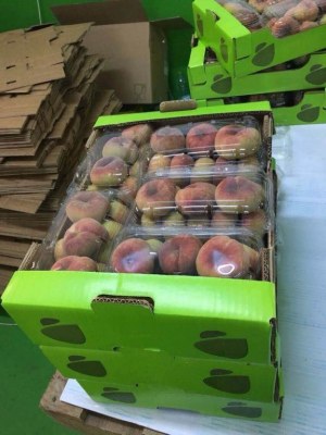 Agroalimentaire Fruits et Légumes