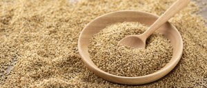 GRAINES DE SESAME QUALITE SUPERIEURE ORIGINE BURKINA FASO