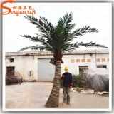China suppiler names of leaves in india factory price artificial coconut tree wholesale