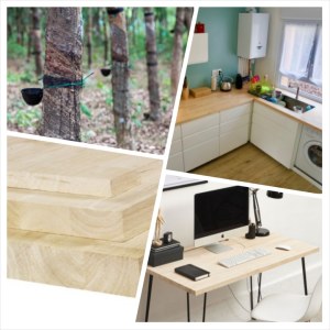 Recherche des acheteurs de bois d'hévéa dans le monde