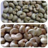 Noix de cajou brutes en vente