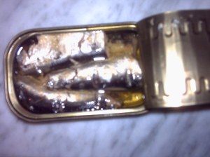 Conserve de boite de sardine