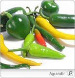 Offre pour exportation de piments