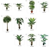 Fleurs Artificielles