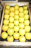Vends de pommes golden