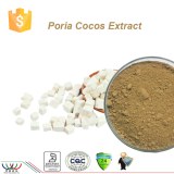 Sucre dans le sang d'équilibrage naturel pur extrait de Poria cocos