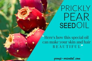 Prickly Pear Seed Oil wholesale in bulk
