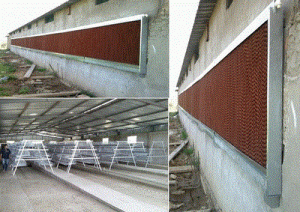 Batteries poules pondeuses toutes capacités