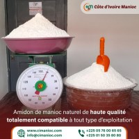 AMIDON DE MANIOC DE HAUTE QUALITE