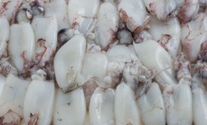 Poisson marocain congélé et conserve