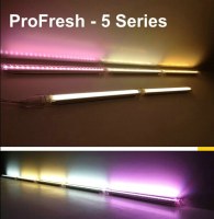 Profresh Food lighting solution