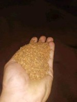 Vente de noyaux d'olive concassés