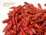Vietnam chilli good price skype: visimex02
