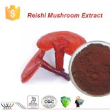 Pure natural improving immunity ganoderma/reishi mushroom extract