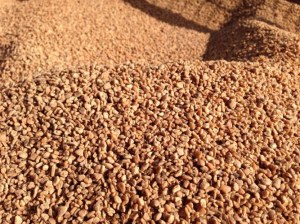 BIOMASSE NOYAU D OLIVE