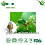50% Trans Resveratrol Polygunom Cupsidatum Extract bulk powder