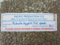 Robusta Coffee S16