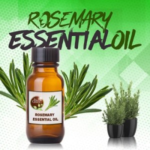 Rosemary Natural Herbs 100% Pure