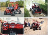 600CC EFI Utility Vehilce /UTV