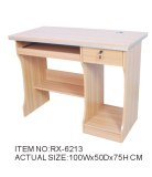 Popular Office Computer Desk (RX-6213)