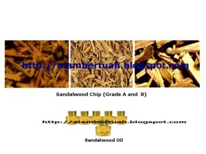 Bois de santal, Tan Xiang, Santal, Byakudan